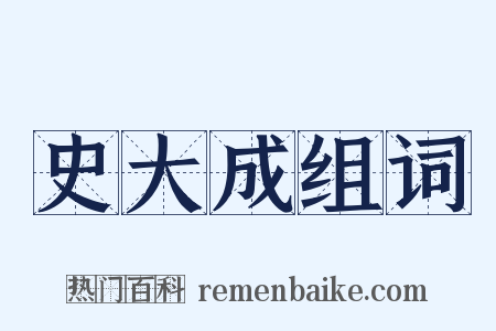 史大成组词是什么意思的图片